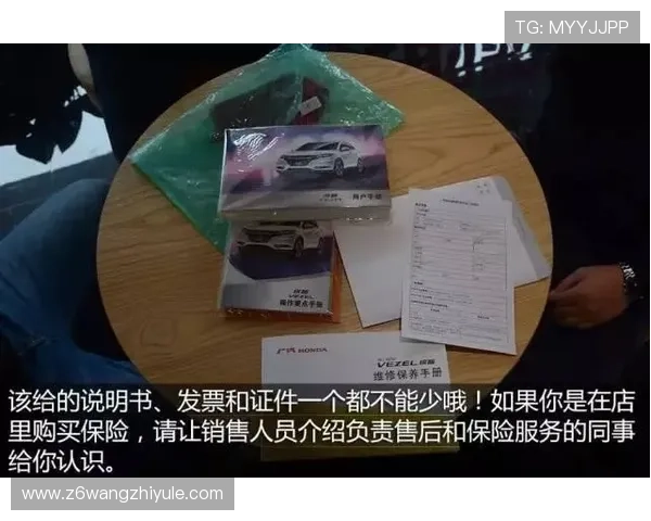 尊龙现金下载官网操作指南,详细步骤帮助新手快速上手 尊龙现金下载官网操作指南,详细步骤帮助新手快速上手