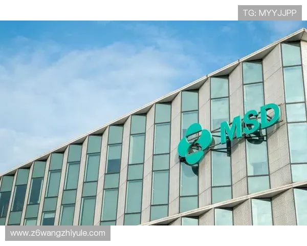 z6尊龙官方网站官网入口最新安全稳定的登录指南与使用攻略推荐