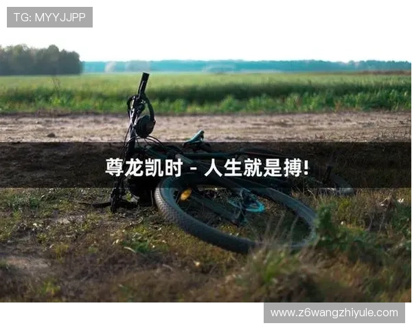 尊龙凯时人生就是搏z6com:从新手到高手的成长之路,游戏人生的精彩转变 尊龙凯时人生就是搏z6com:从新手到高手的成长之路,游戏人生的精彩转变