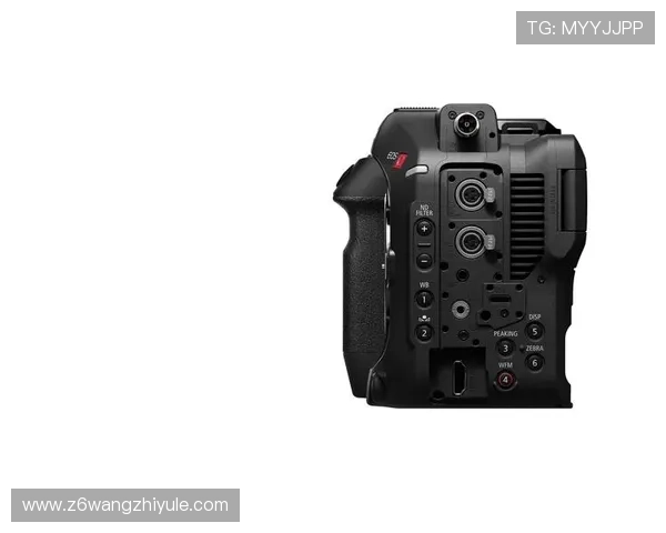 尊龙z6国际版官网常见问题解答与用户体验优化建议 尊龙z6国际版官网常见问题解答与用户体验优化建议